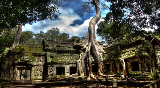 Ta Prohm temple